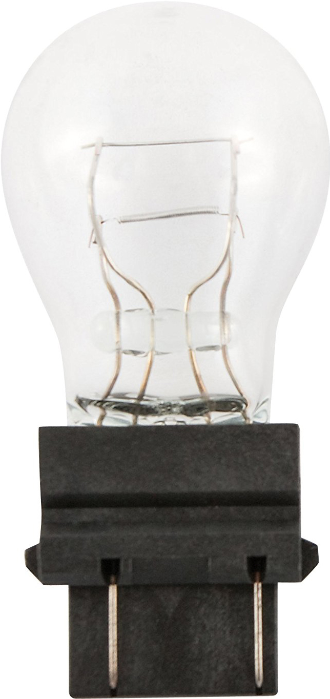 Bulb #3157