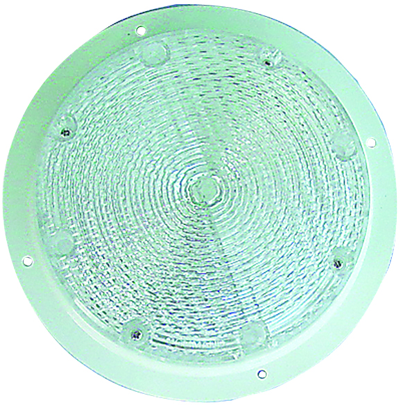 Security/utility Light