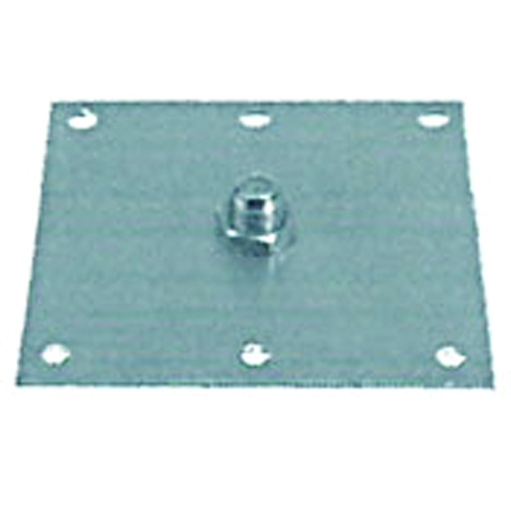 Roof-Thru Plate