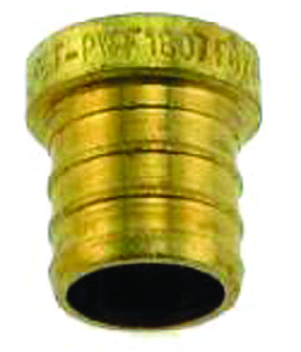 3/4" Brass Test Plug
