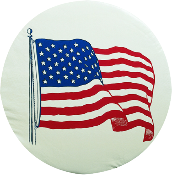 29 US Flag Tire Cover