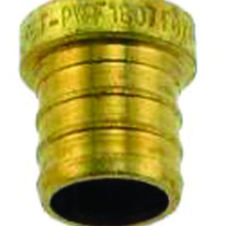 3/4" Brass Test Plug