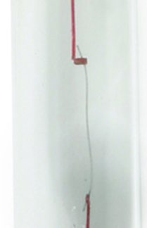 1036 Festoon Bulb
