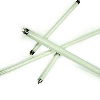 Bulb F8t5/cw 8 Watt 12, Bulk