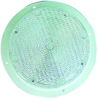 Security/utility Light