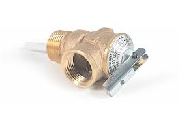 T&p Valve 3/4 W/ 1 Probe Coated, 150psi (skpk)